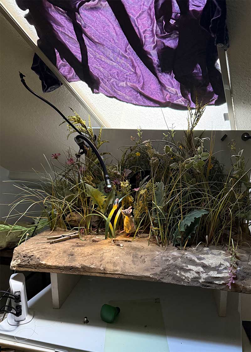 firefly-setup