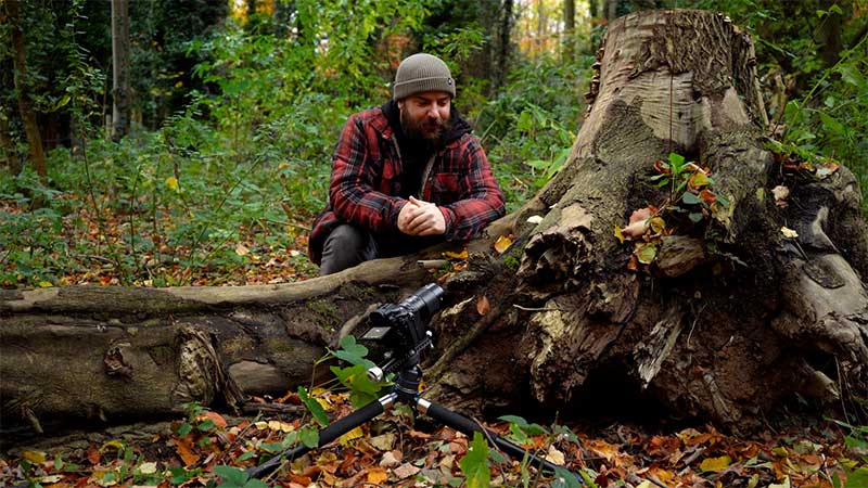 Macro-photography-in-the-woods