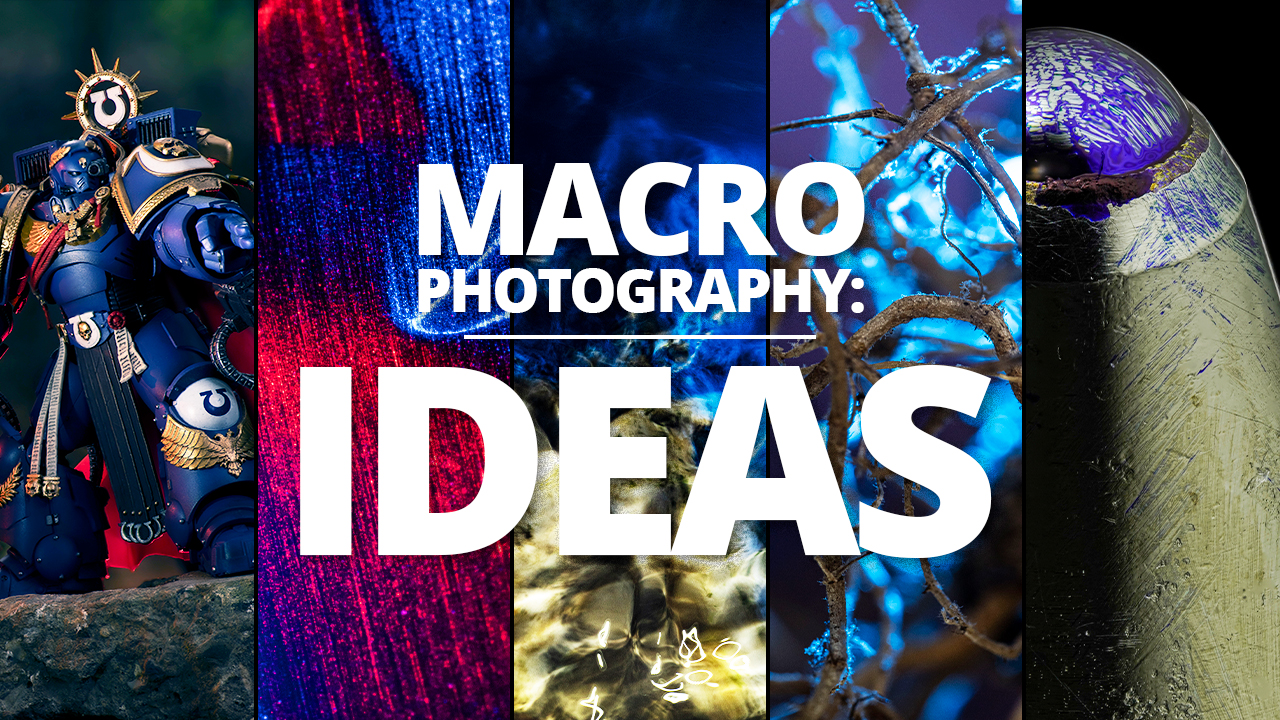 5 Creative Macro Photography Projects to try in 2026