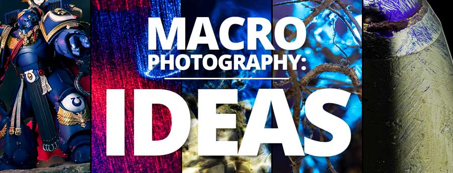 5 Creative Macro Photography Projects to Try in 2026