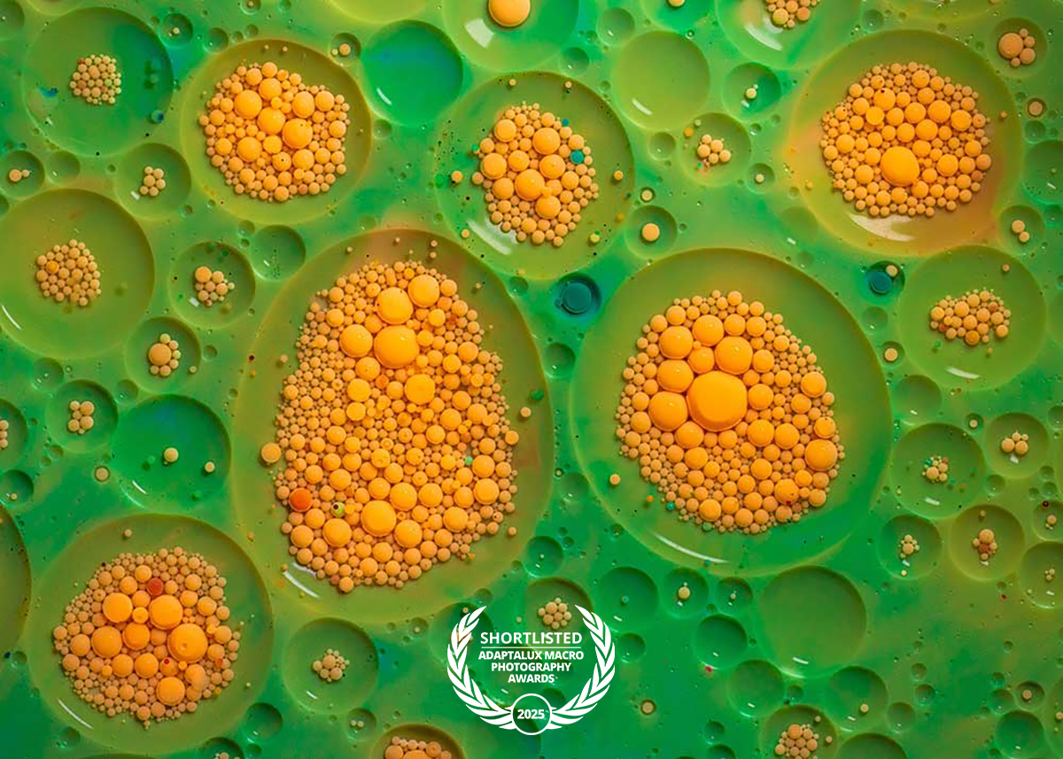 Benjamin-Olson,Craters