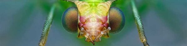 Competition-Entry-from-Martin-Buhlig-sml