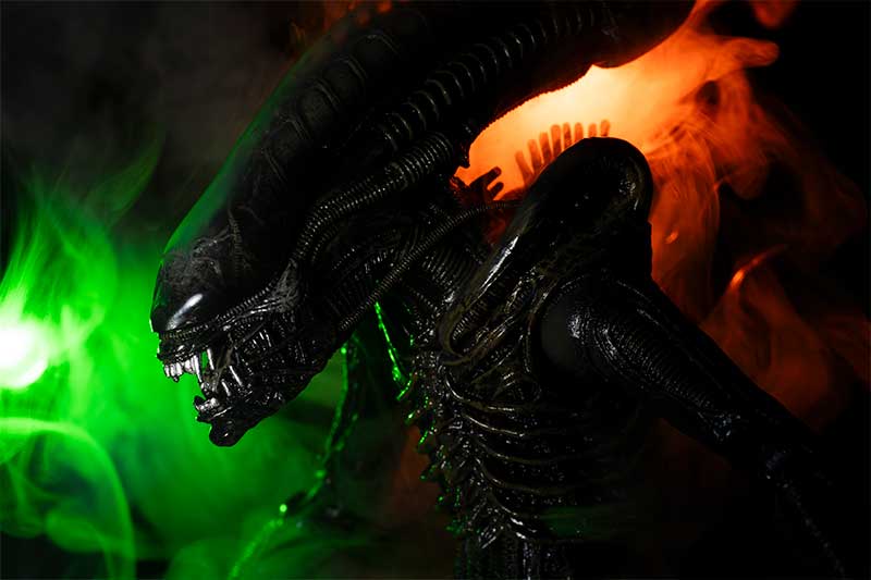 alien-photography-with-fog-machine