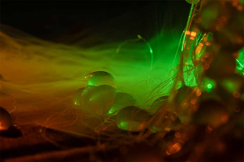 alien-eggs-macro-photography