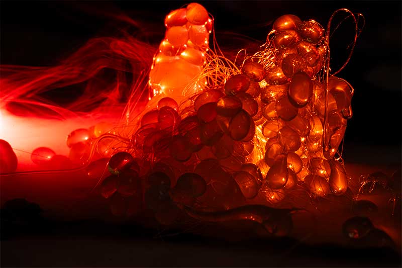 dangerous-eggs-red-lighting