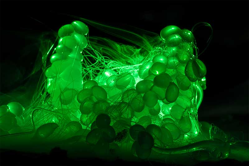 green-alien-egg-photography