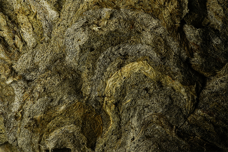 wasp-nest-surface-texture-macro