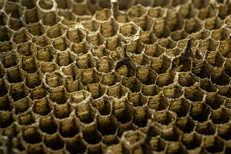 wasp-nest-texture-in-macro