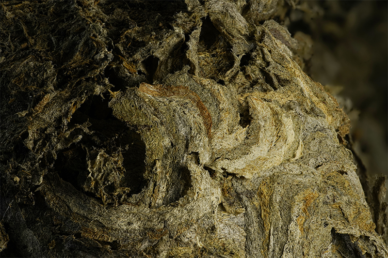 wasp-nest-texture-macro-photography