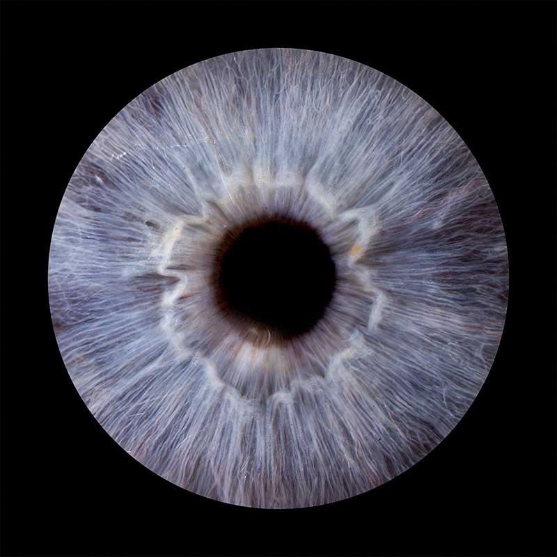 Iris-photography-example