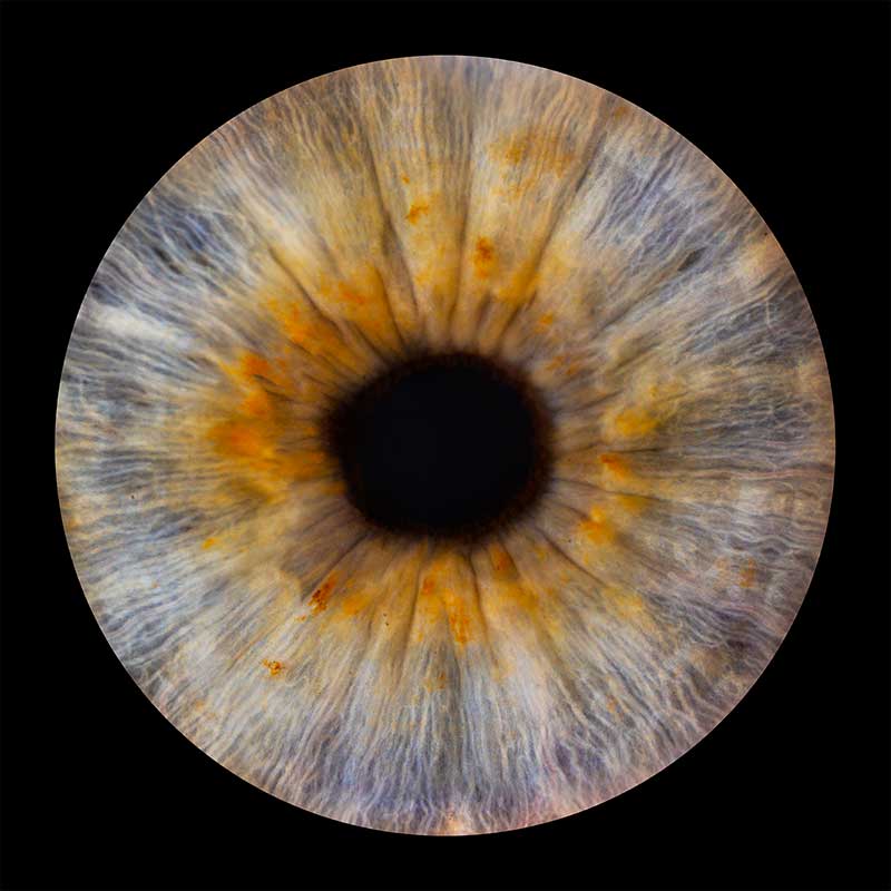 Iris-photography-example2