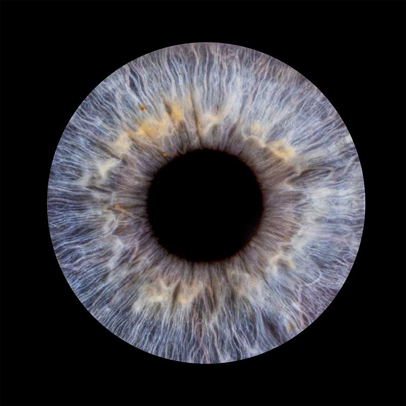 Iris-photography-tutorial