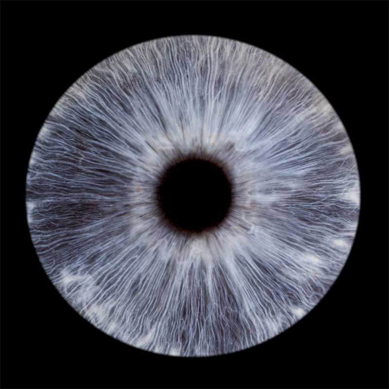 Iris-photography-with-flash