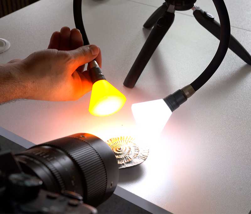 adaptalux-lighting-for-fossil-macro-photography