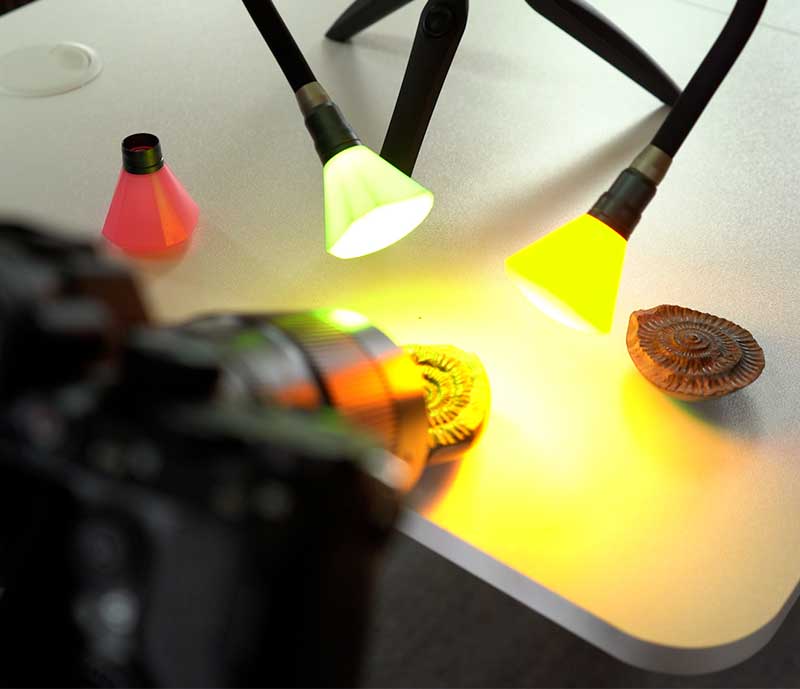 creative-ammonite-fossil-photography