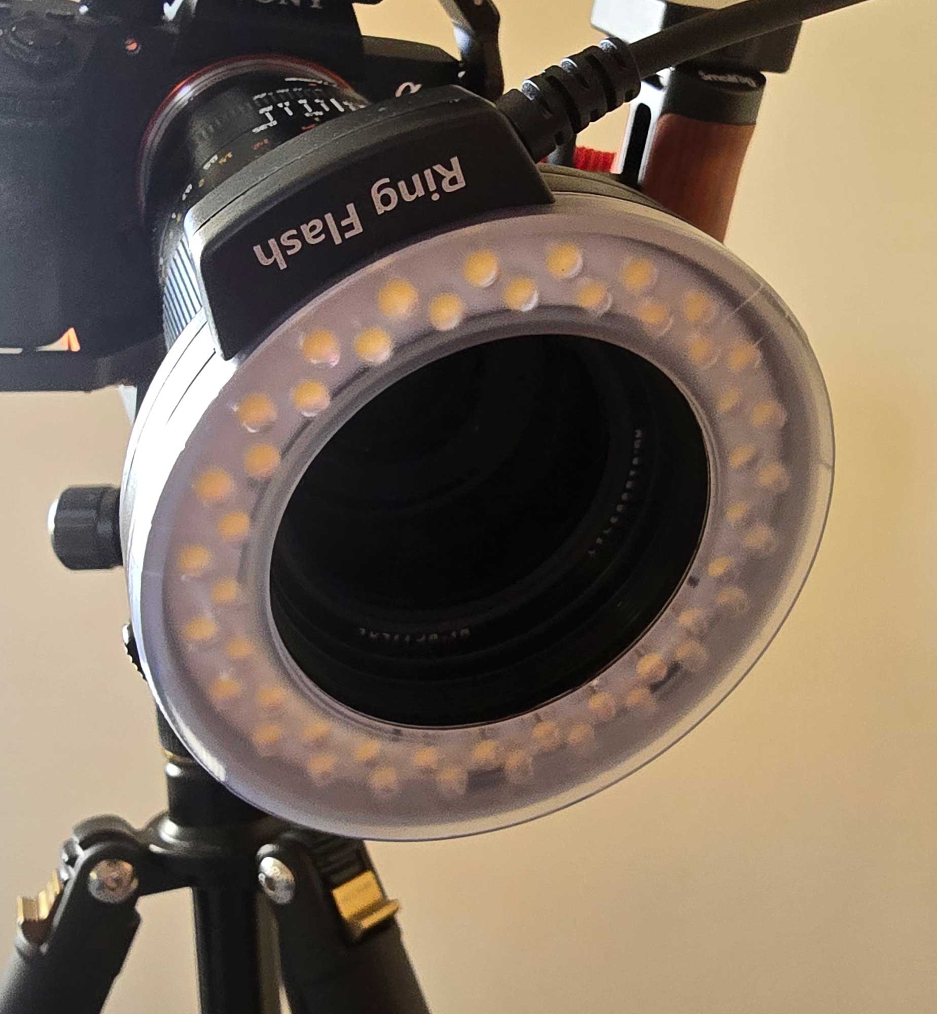ring-light-setup-for-macro2