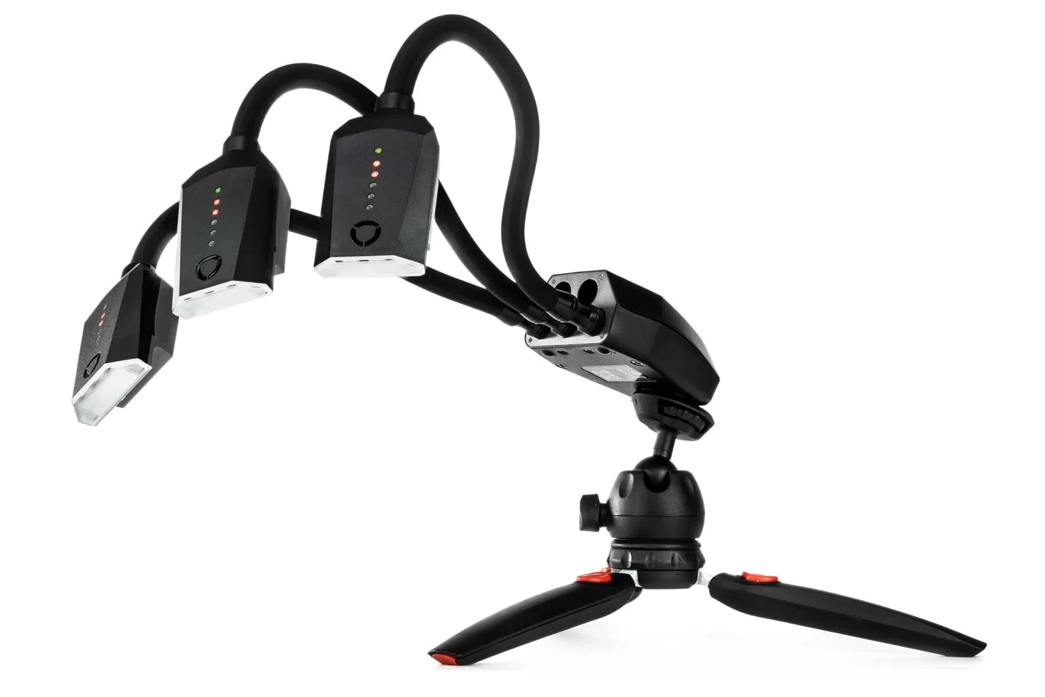 Adaptalux Studio macro photography lighting