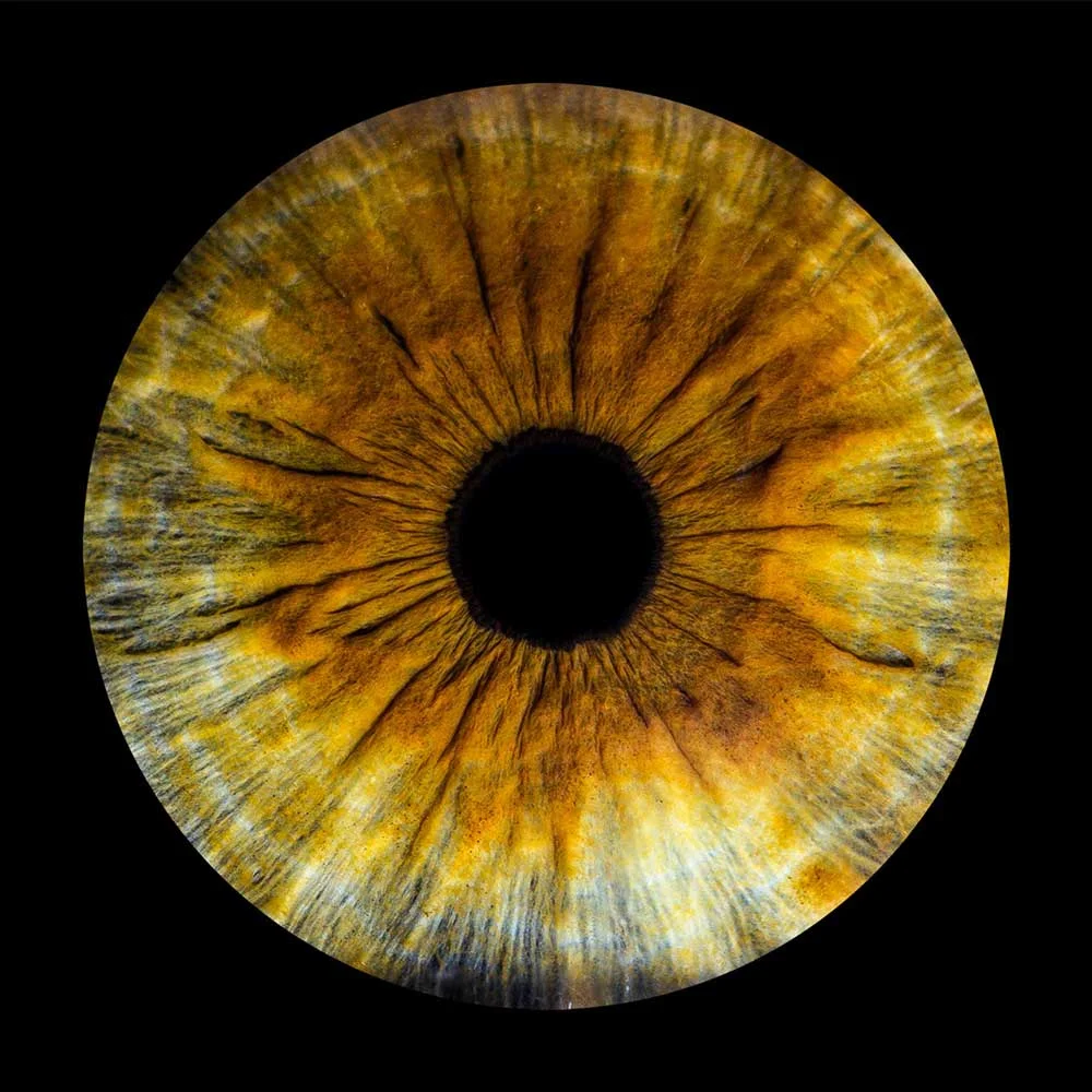 iris photography lighting product